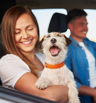 Happy Girl with Dog in Vehicle